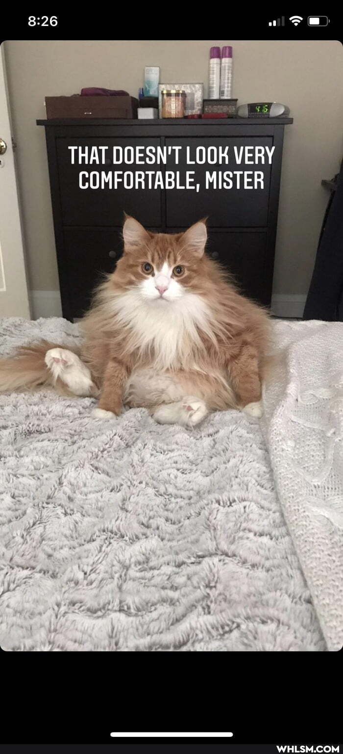 THAT DOESN'T LOOK VERY
COMFORTABLE, MISTER