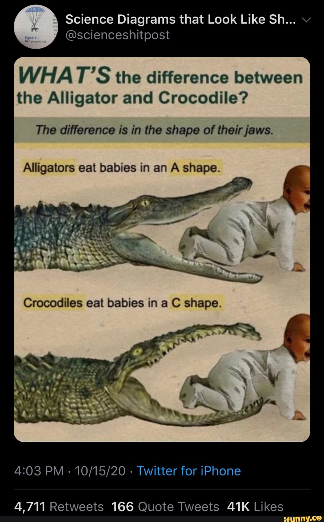 Whats The Difference Between The Alligator And Crocodile The