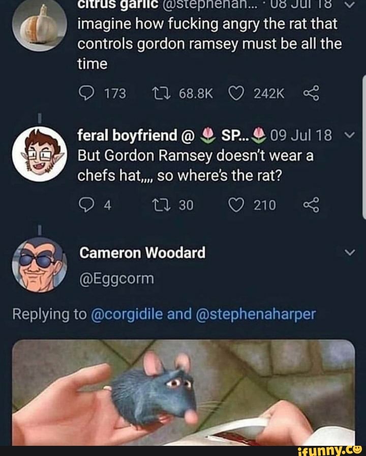 imagine how fucking angry the rat that
controls gordon ramsey must be all the
feral boyfriend O Y SP... 09 Jul 18 vw
But Gordon Ramsey doesn't wear a
€ Cameron Woodard v
Replying to @corgidile and @stephenaharper