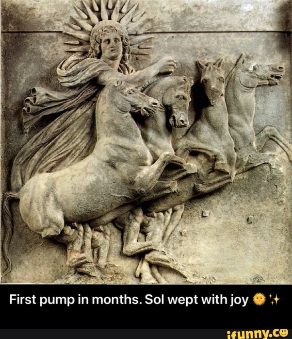 First pump in months. Sol wept with joy '+ - First pump in months. Sol wept with joy πβ¨