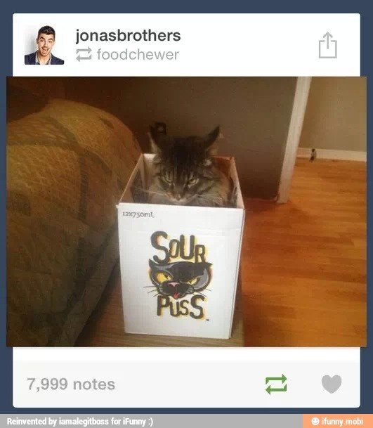 £ jonasbrothers
