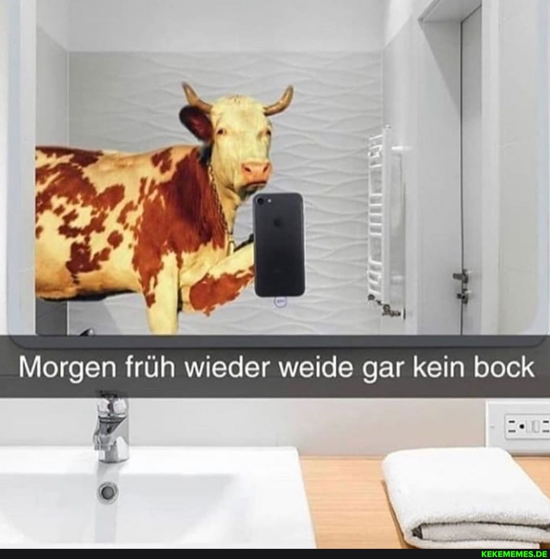 Morgen irüh wieder weide gar kein bock