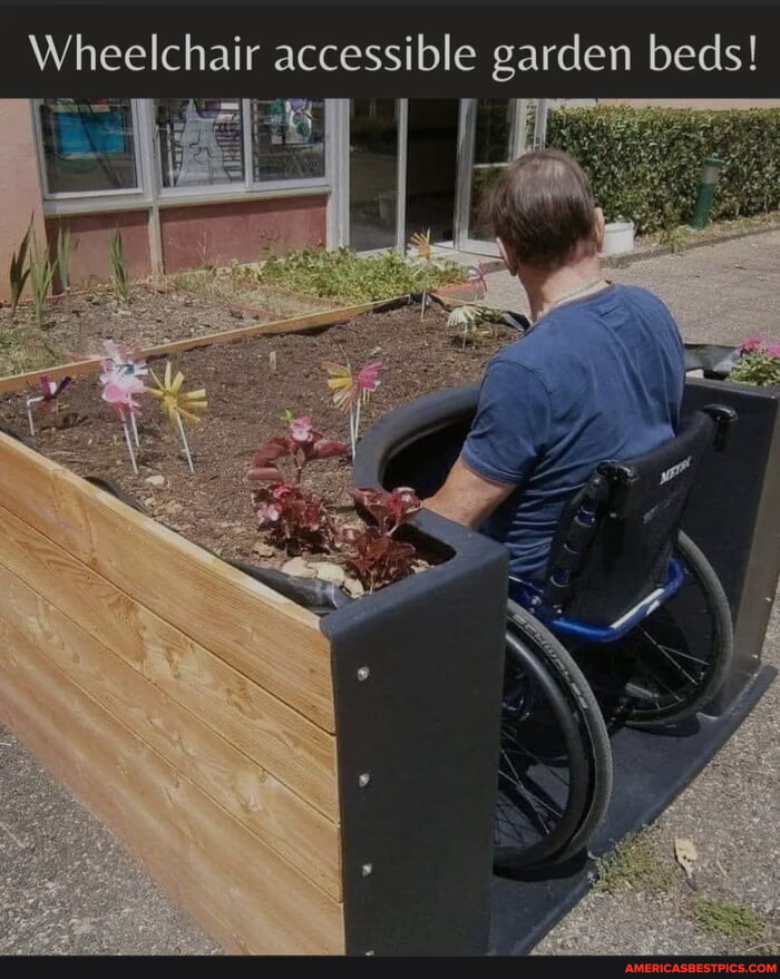 Wheelchair accessible garden beds! America’s best pics and videos