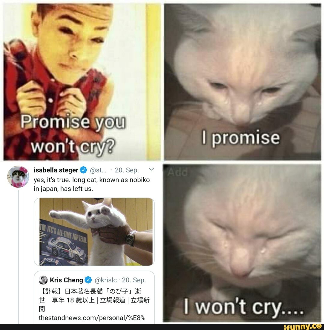 you
promise
isabella steger @ @st.. Sep.
yes, It's true. long cat, known as nobiko in japan, has left us.
&y Kris Cheng @ @krisic - 20. Sep.
BABAR TOUF Hi th 18 I I
won't Cry...
fed
thestandnews