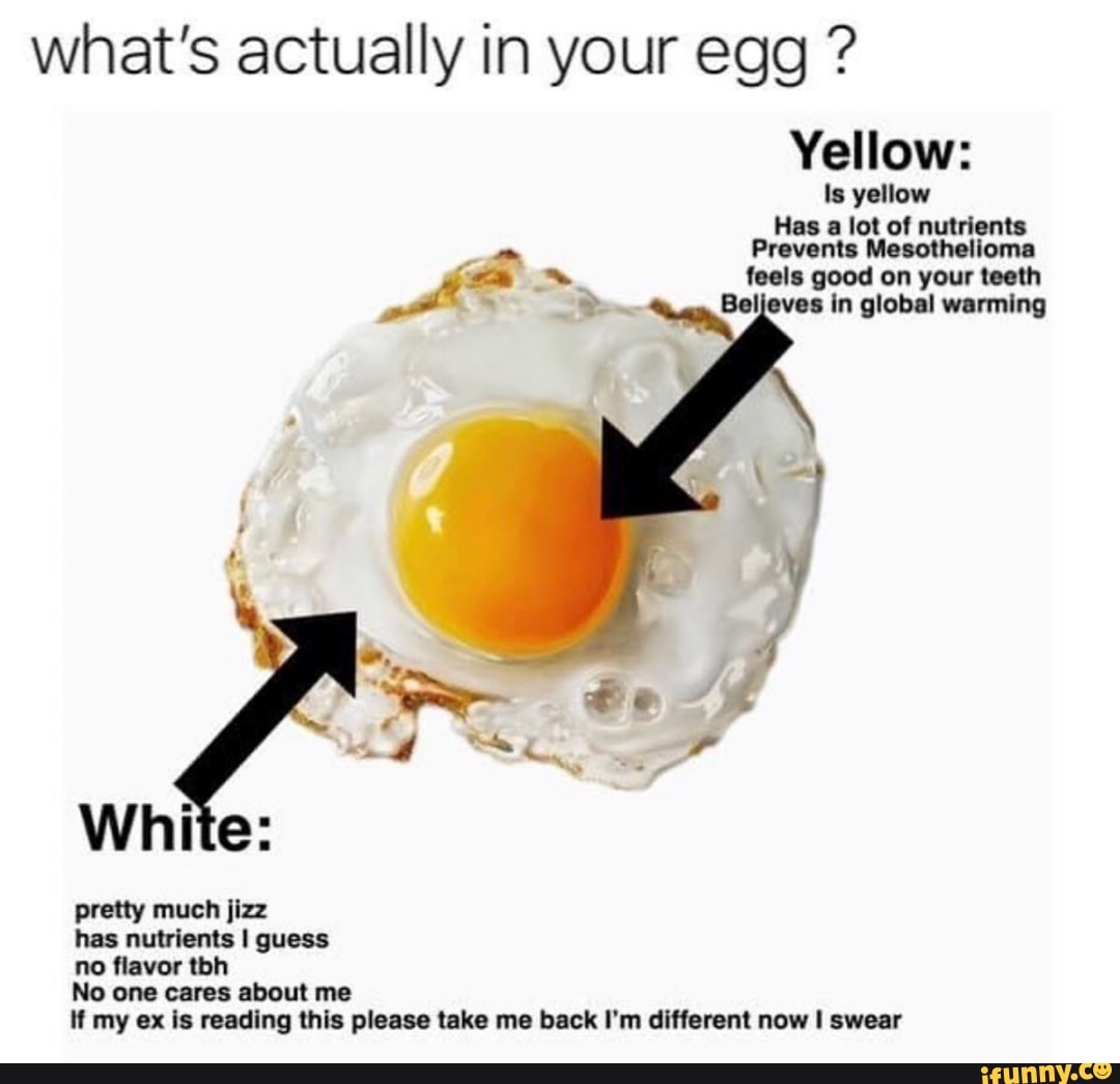What's actually in your egg ? Yellow Is yellow Has a lot of nutrients