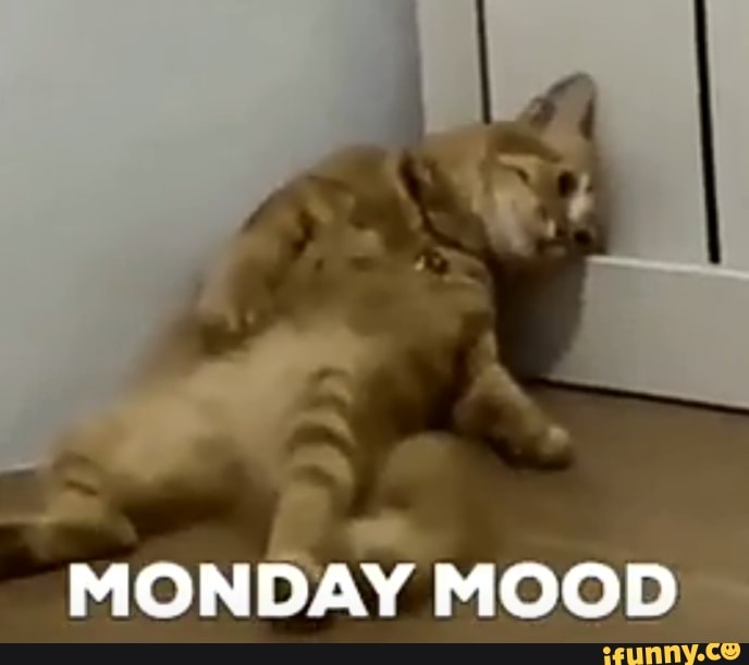 Mondaymood memes. Best Collection of funny Mondaymood pictures on iFunny