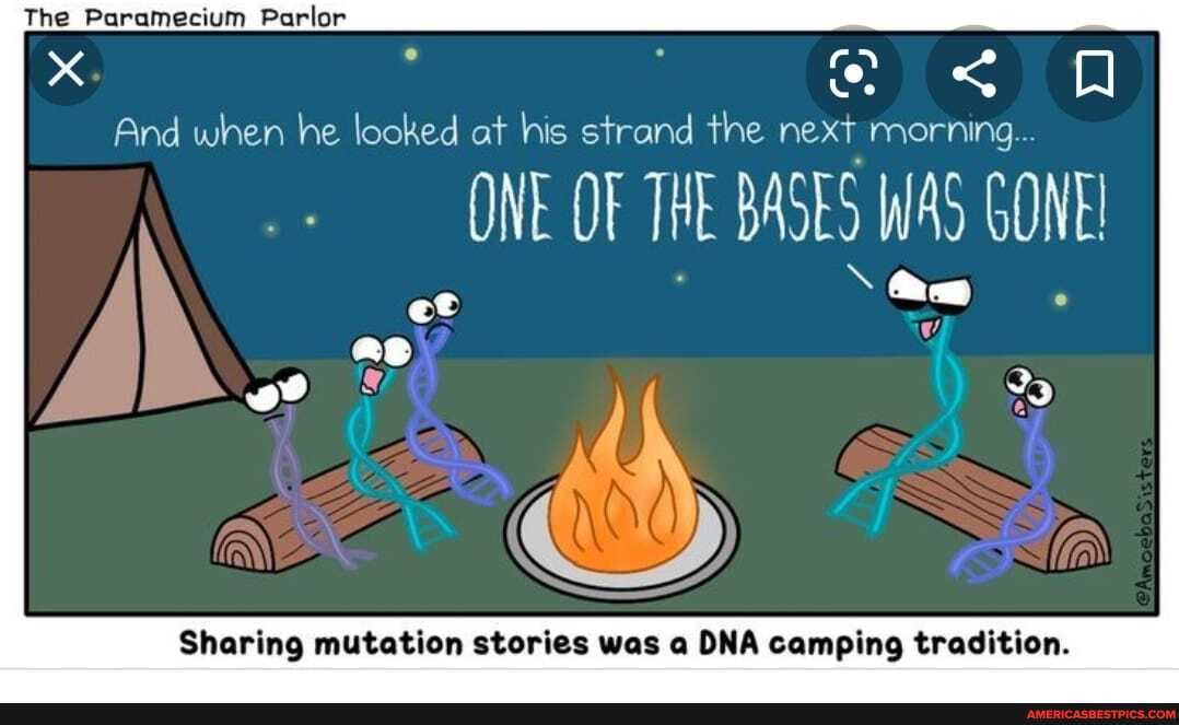 The
And when he looked at his strand the next morning...
OF
ONE OF BASES WAS GONE!
\ @w
Sharing mutation stories was a DNA camping tradition.