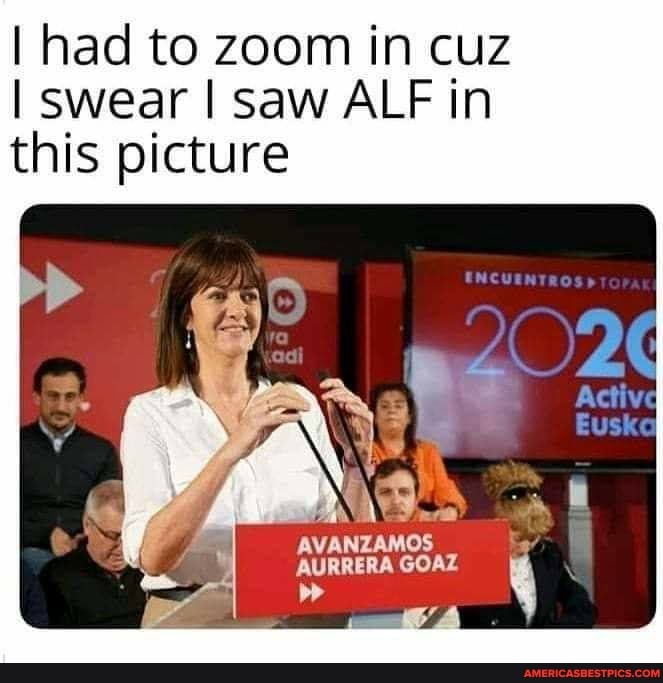 I had to zoom in cuz
I swear I saw ALF in this picture
AVANZAMOS