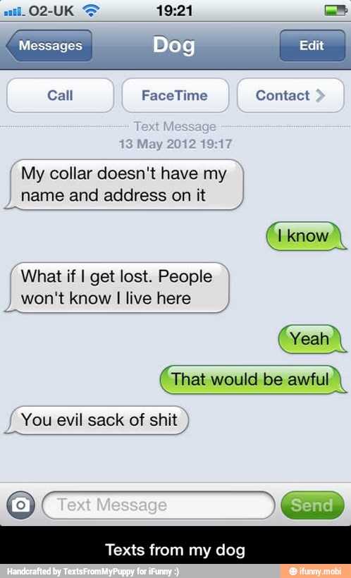 Call FaceTime Contact
My collar doesn't have my
name and address on it
What if I get lost. People
here)
Yeah
That would be awful
You evil sack of shit Texts from my dog - Texts from my dog