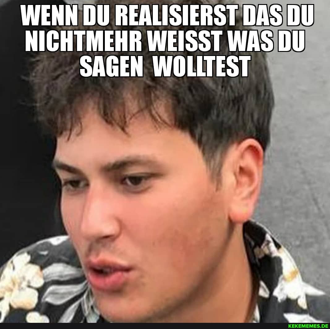 WENN DU REALISIERST DAS DU NICHTMEHR WEISST WAS DU SAGEN WOLLTEST