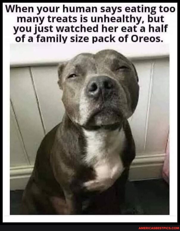 When your human says eating too
many treats is unhealthy, but
you just watched her eat a half
of a family size pack of Oreos.