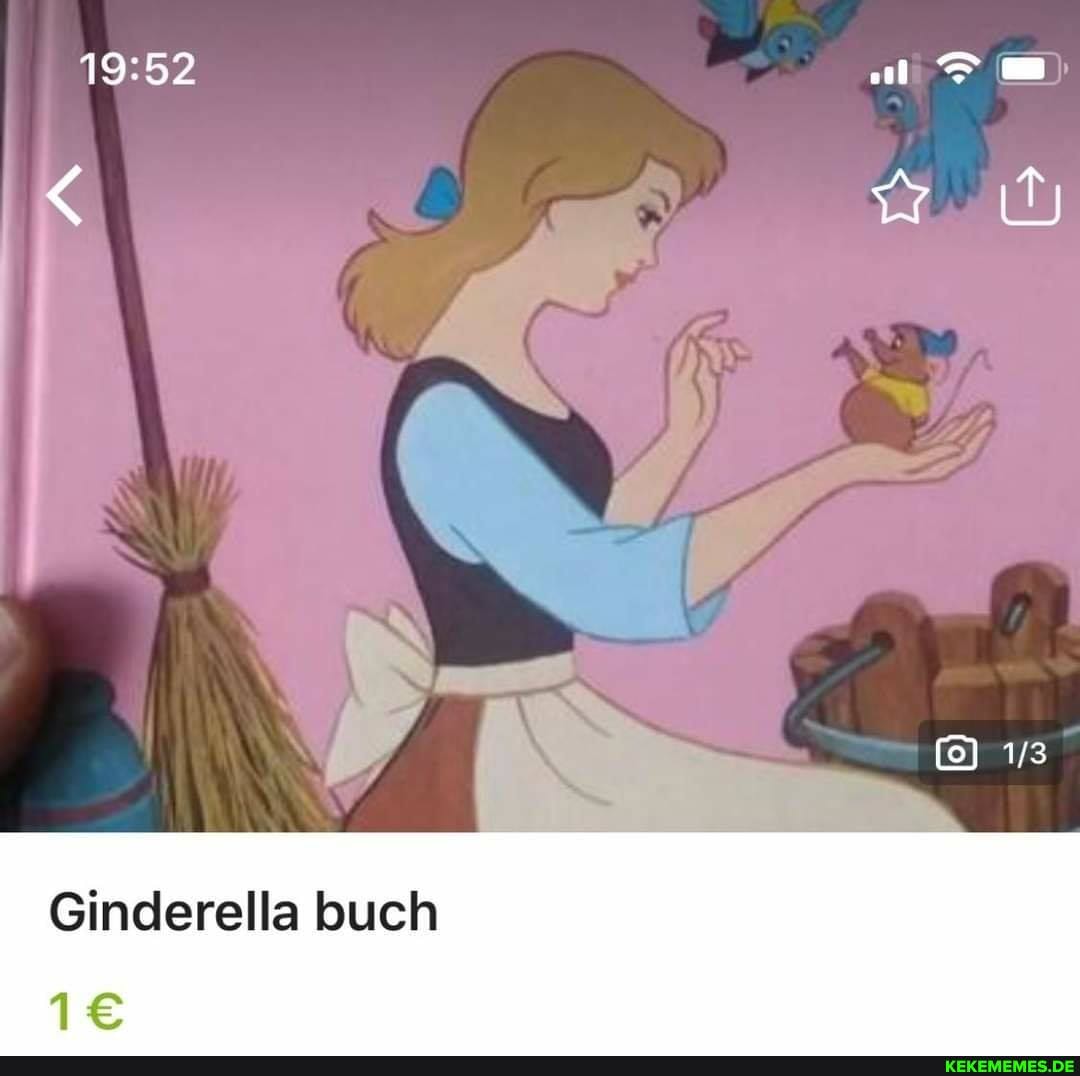 Ginderella buch