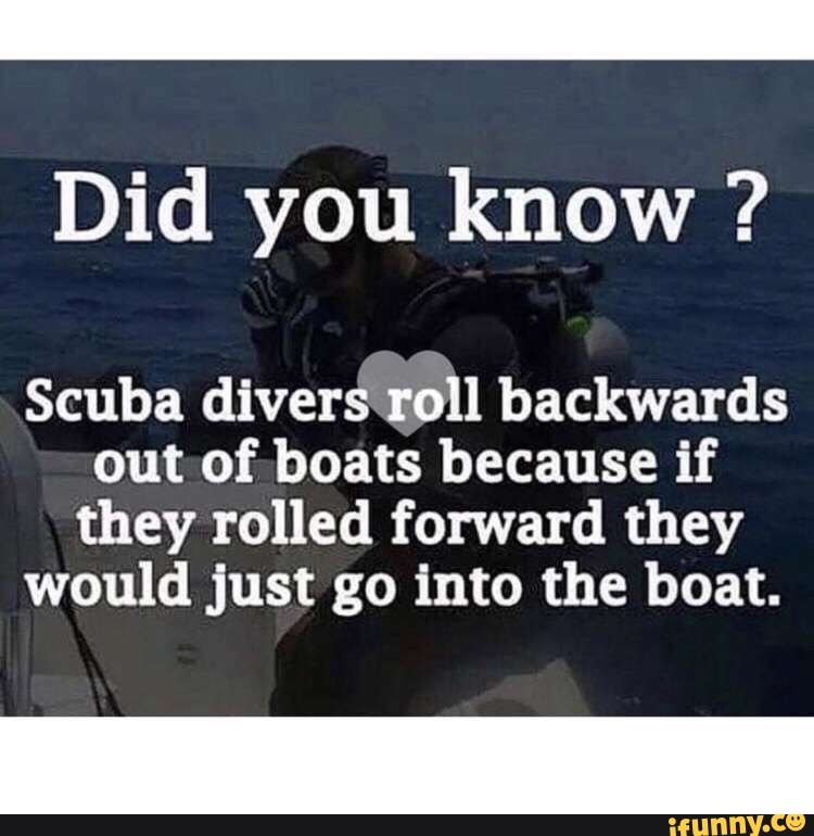 Did you know ? Scuba divers roll backwards out of boats because if they ...