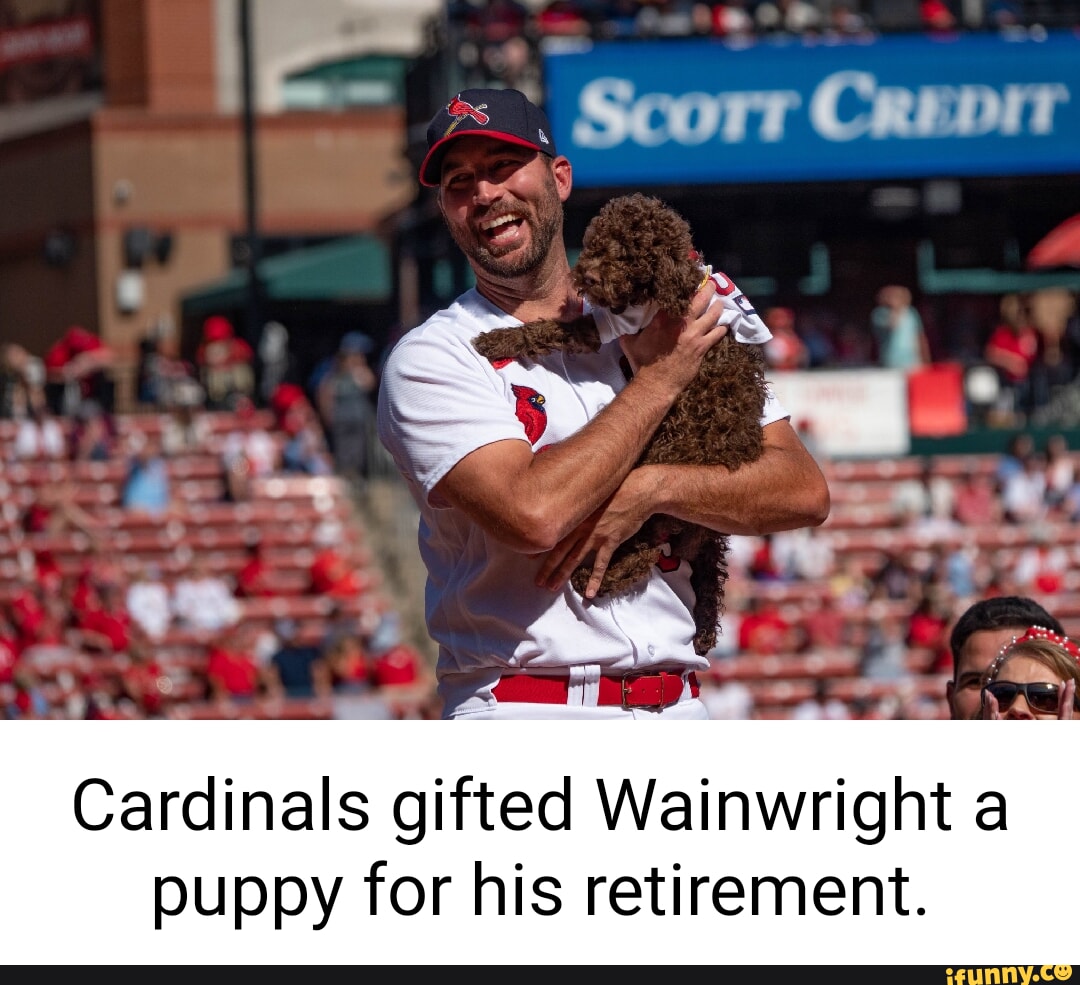 St louis cardinals Memes