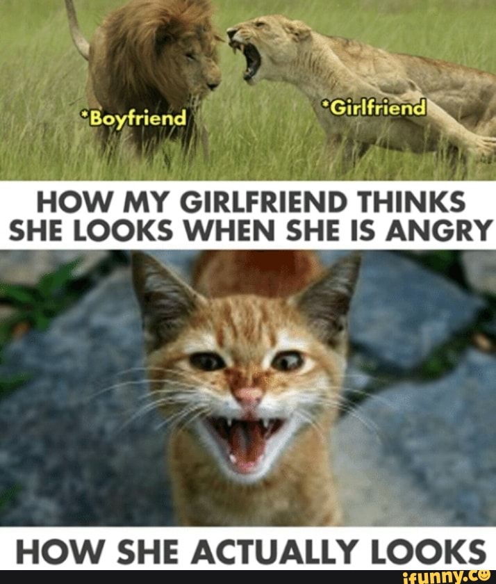 Re Boyfriend How My Girlfriend Thinks She Looks When She Is Angry How She Actually Looks Ifunny 0620