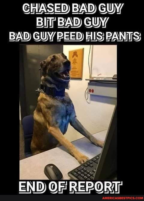 CHASED BAD GUY BAD GUY BAD GUY PEED HIS PANTS
ry