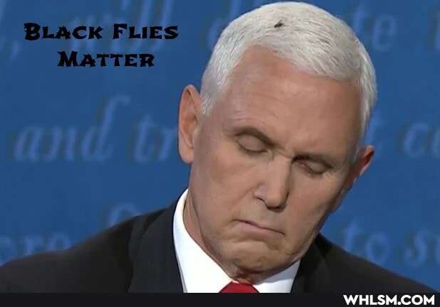 BLACK FLIES MATTER
of
