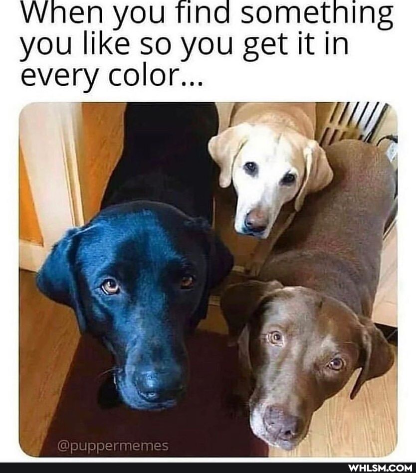 YOU you like so you get it in
every color...
@puopermemes