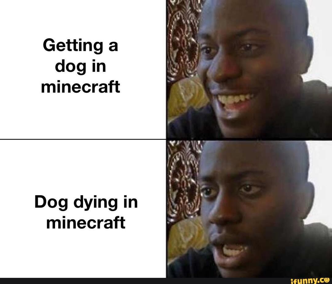 Getting a dog in minecraft Dog dying in minecraft - iFunny