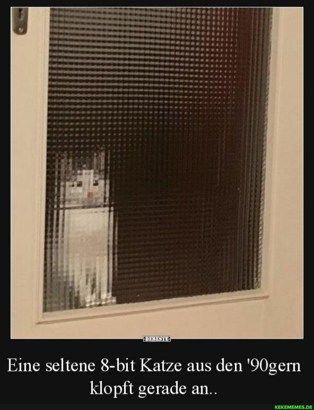 Eine seltene 8-bit Katze aus den '90gern klopft gerade an..