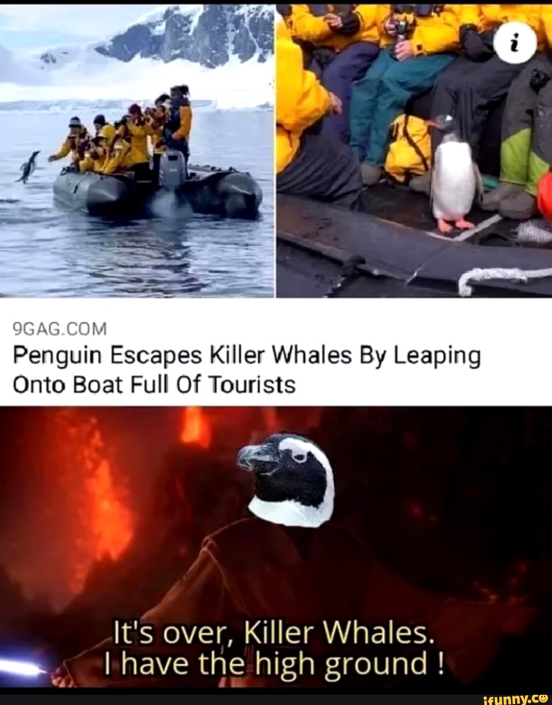 OGAG
Penguin Escapes Killer Whales By Leaping
Onto Boat Full Of Tourists
It's over, Killer Whales.
I have the high ground !