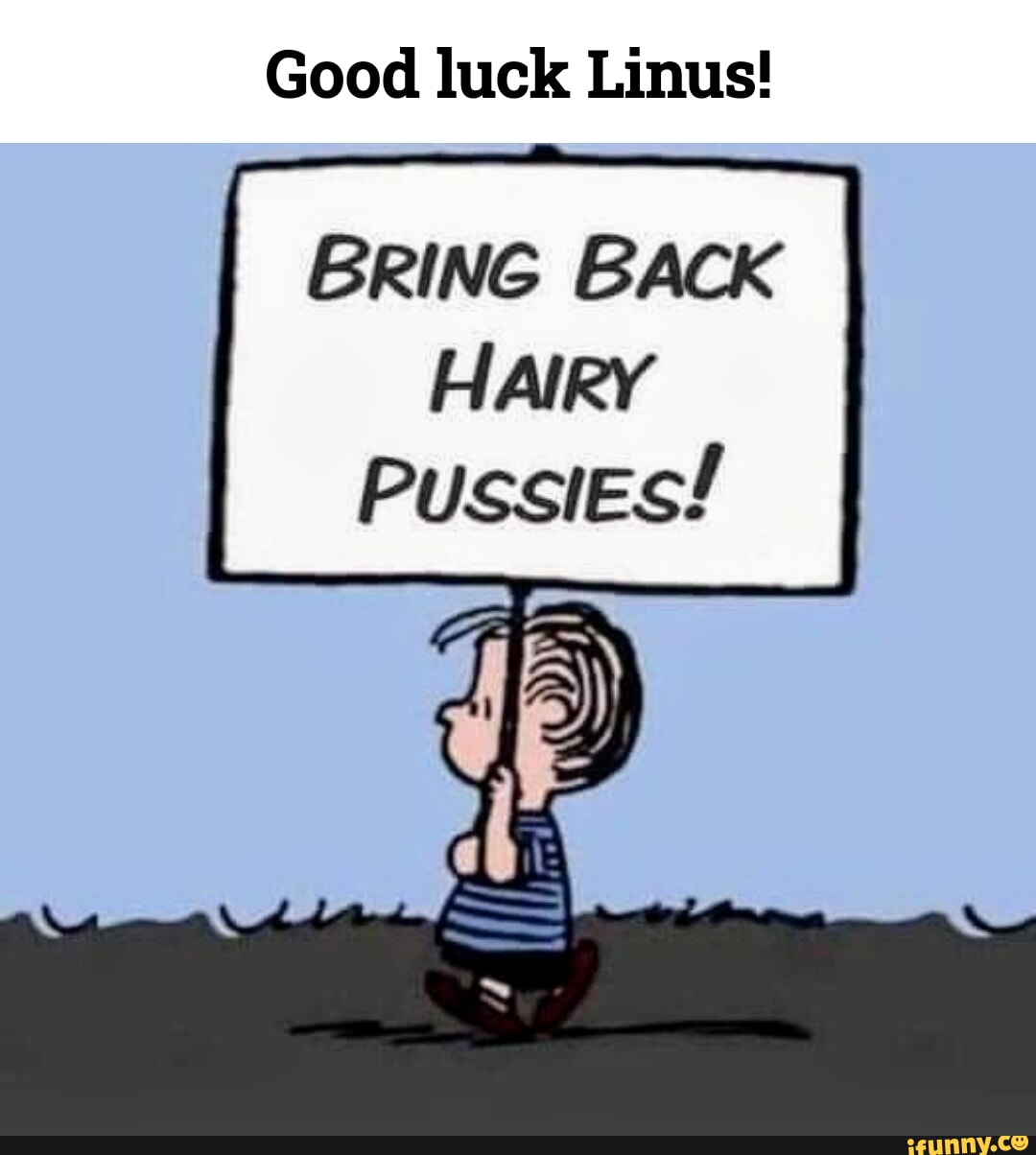 Linus Memes Best Collection Of Funny Linus Pictures On Ifunny