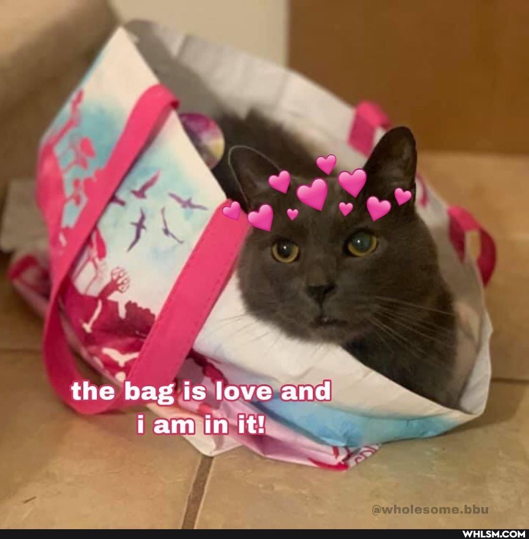 the bag is love and iam in it!
