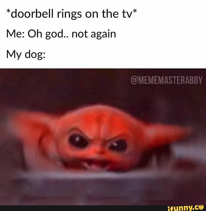 Doorbell Rings On The Tv Me Oh God Not Again My Dog Ifunny