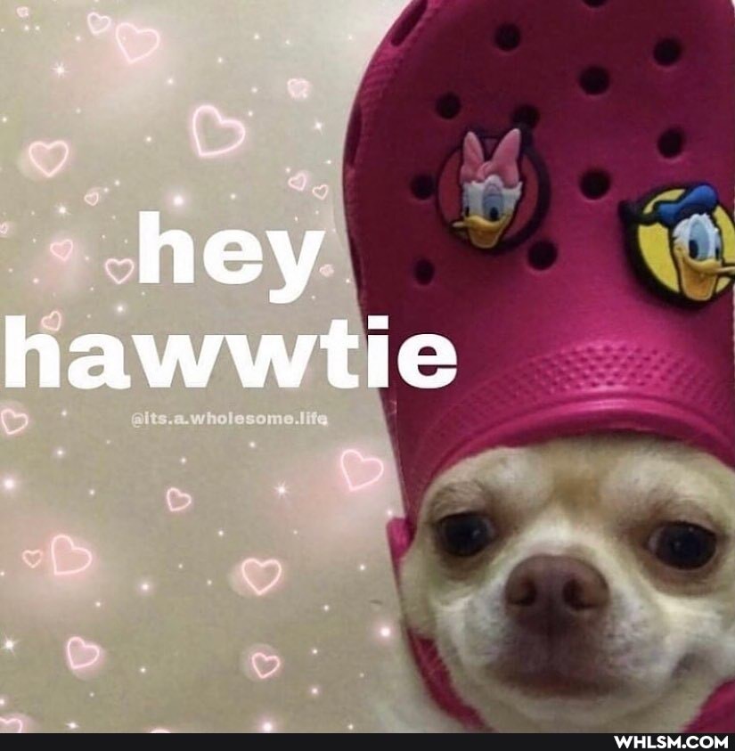 hey hawwtie