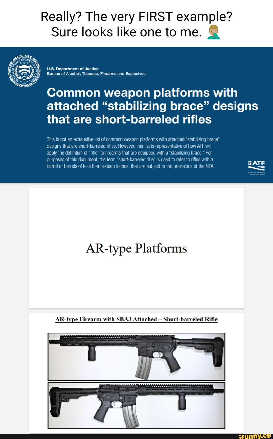 Pistolbrace memes. Best Collection of funny Pistolbrace pictures on iFunny