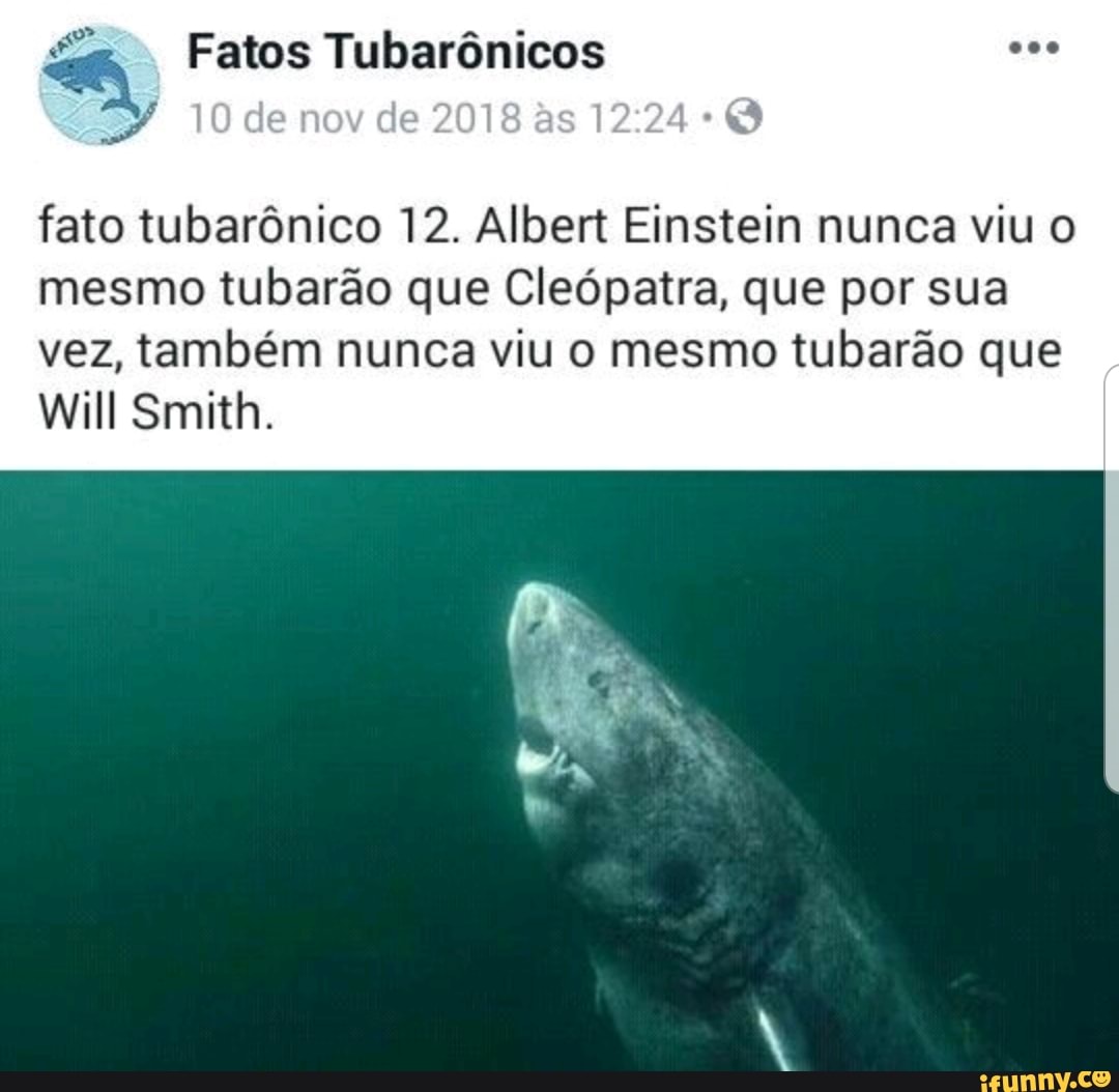 fato tubarônico 12. Albert Einstein nunca viu o
mesmo tubarão que Cleópatra, que por sua
vez, também nunca viu o mesmo tubarão que