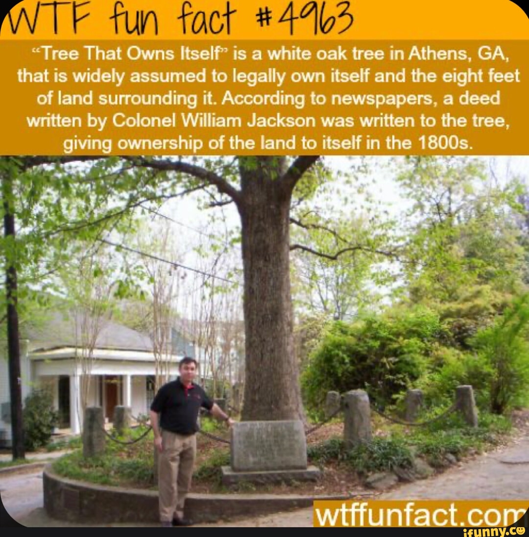 Tun fact "Tree That Owns Itself" is a white oak tree in Athens, GA
