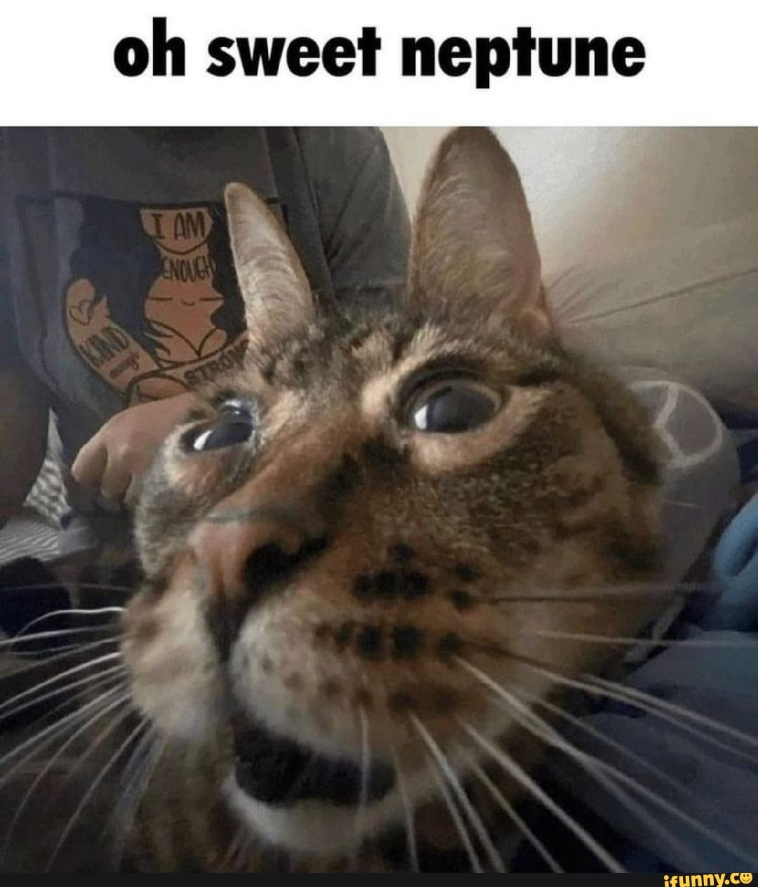Oh sweet neptune cat