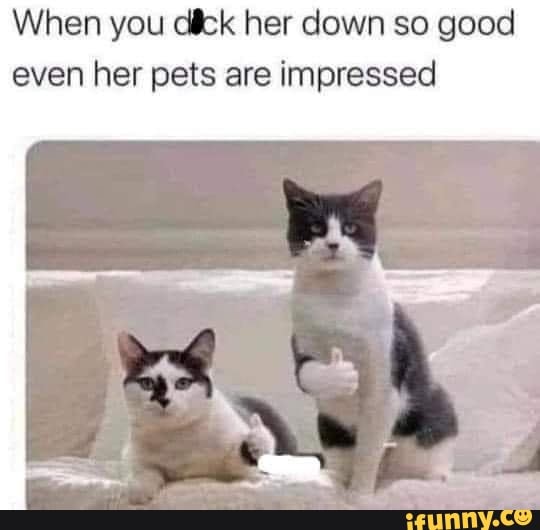 When You Dick Her Down So Good Even Her Pets Are Impressed - Ifunny