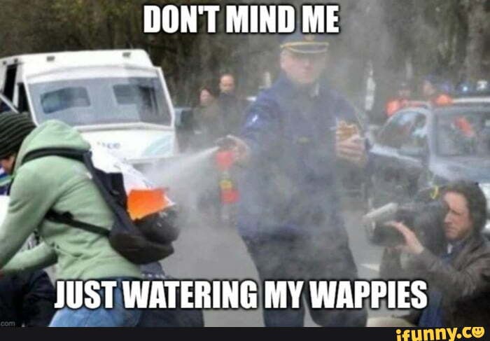 Wappies memes. Best Collection of funny Wappies pictures on iFunny