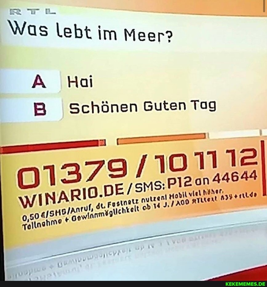 Was lebt im Meer?
A Hai
B Schönen Guten Tag
10111e
RIO.
Toll