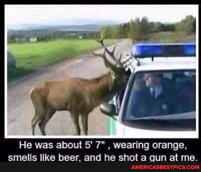 He was about 5' 7" , wearing orange, smells like beer. and he shot a qun at me.