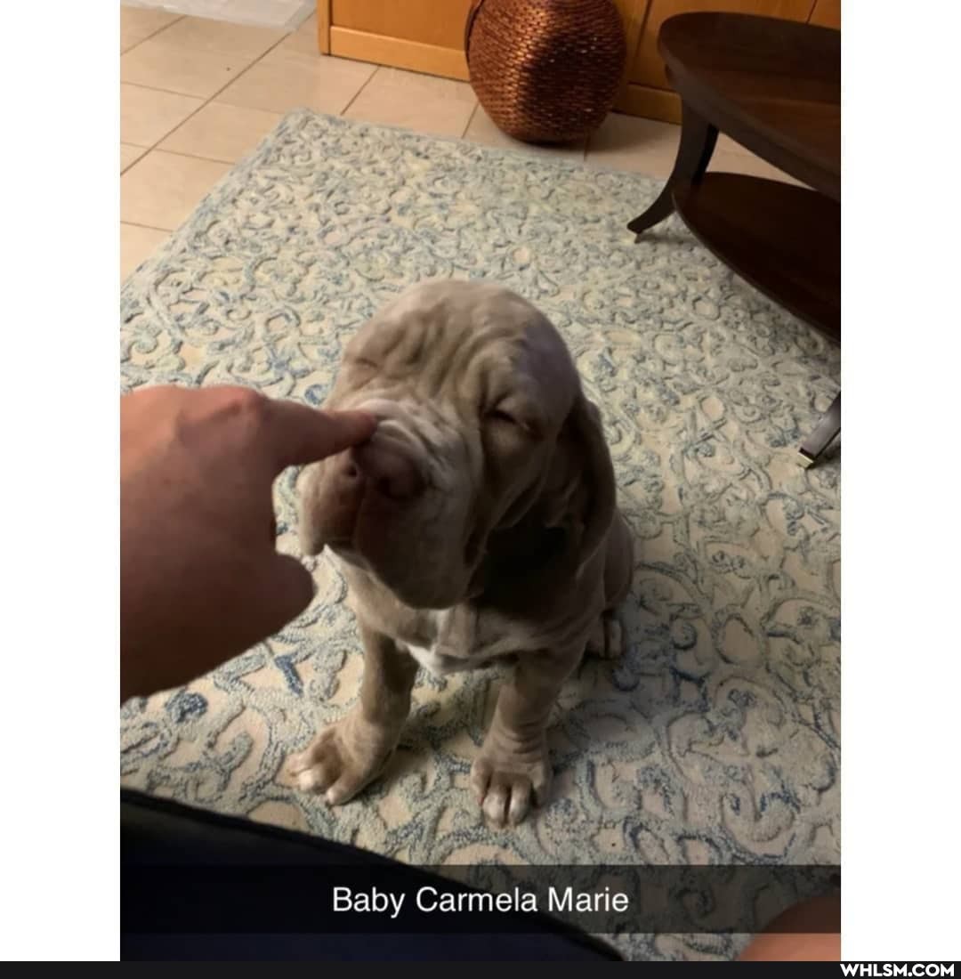Baby Carmela Marie