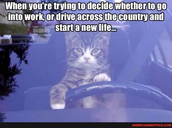 When you're trying to decite whether to go into work, or drive across the country and start a new life...