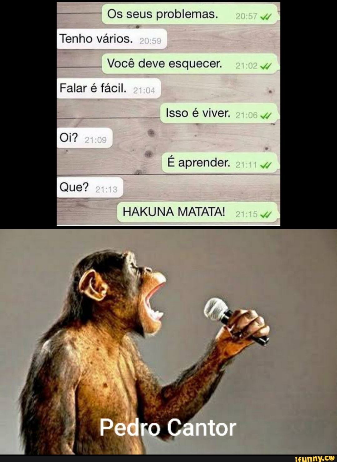 - Os seus problemas.
Tenho vários.
- Você deve esquecer.
Falar é fácil,
Isso é viver.
É aprender.
Que?
HAKUNA MATATA!
Pedro Cantor
