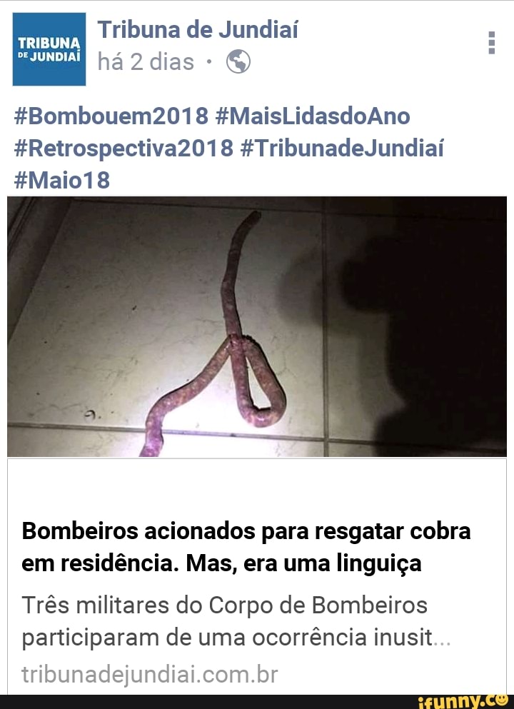 Bombeiros acionados para resgatar cobra
em residência. Mas, era uma linguiça
Três militares do Corpo de Bombeiros
participaram de uma ocorrência inusit
tribunadejundiai.com.br