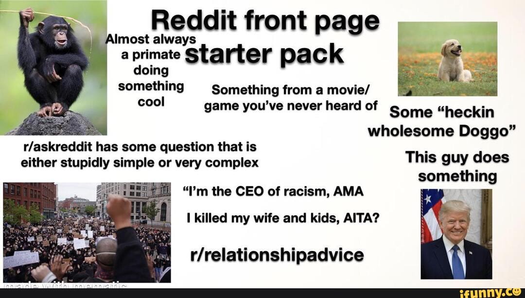 Almost always
aprimate Starter pack
doing something Something from a movie/ cool game you've never heard of gome
"heckin wholesome Doggo" has some question that is either stupidly simple or very complex This guy does something
"l'm the CEO of racism, AMA
killed my wife and kids, AITA?
