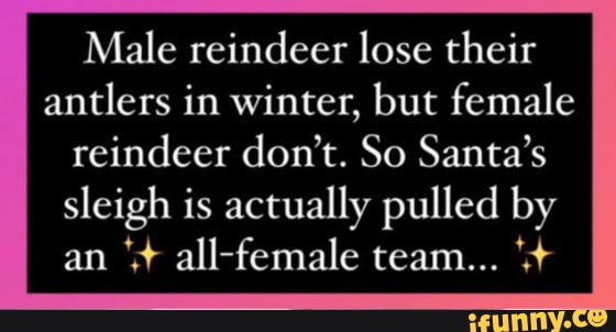 Do Male Reindeers Lose Their Antlers In The Winter