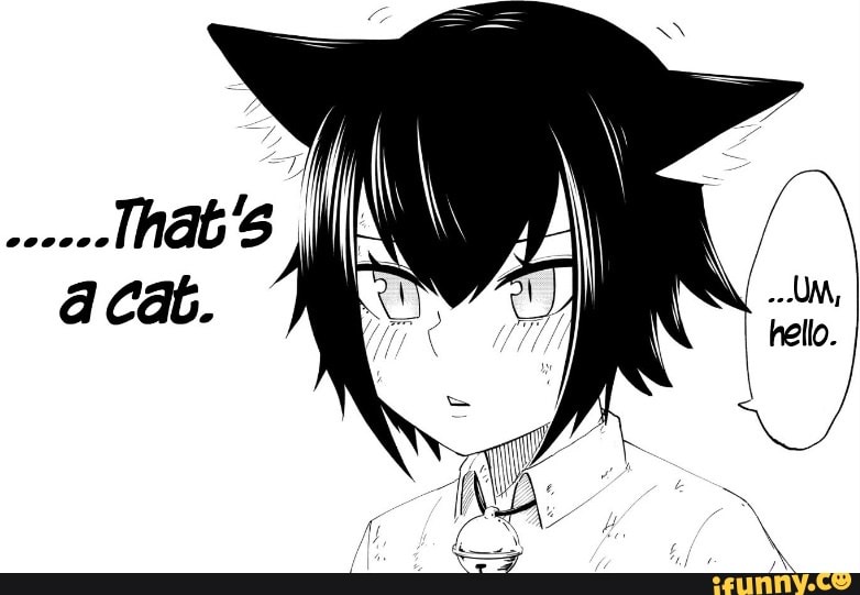 That's
Cat
LAN
hello.