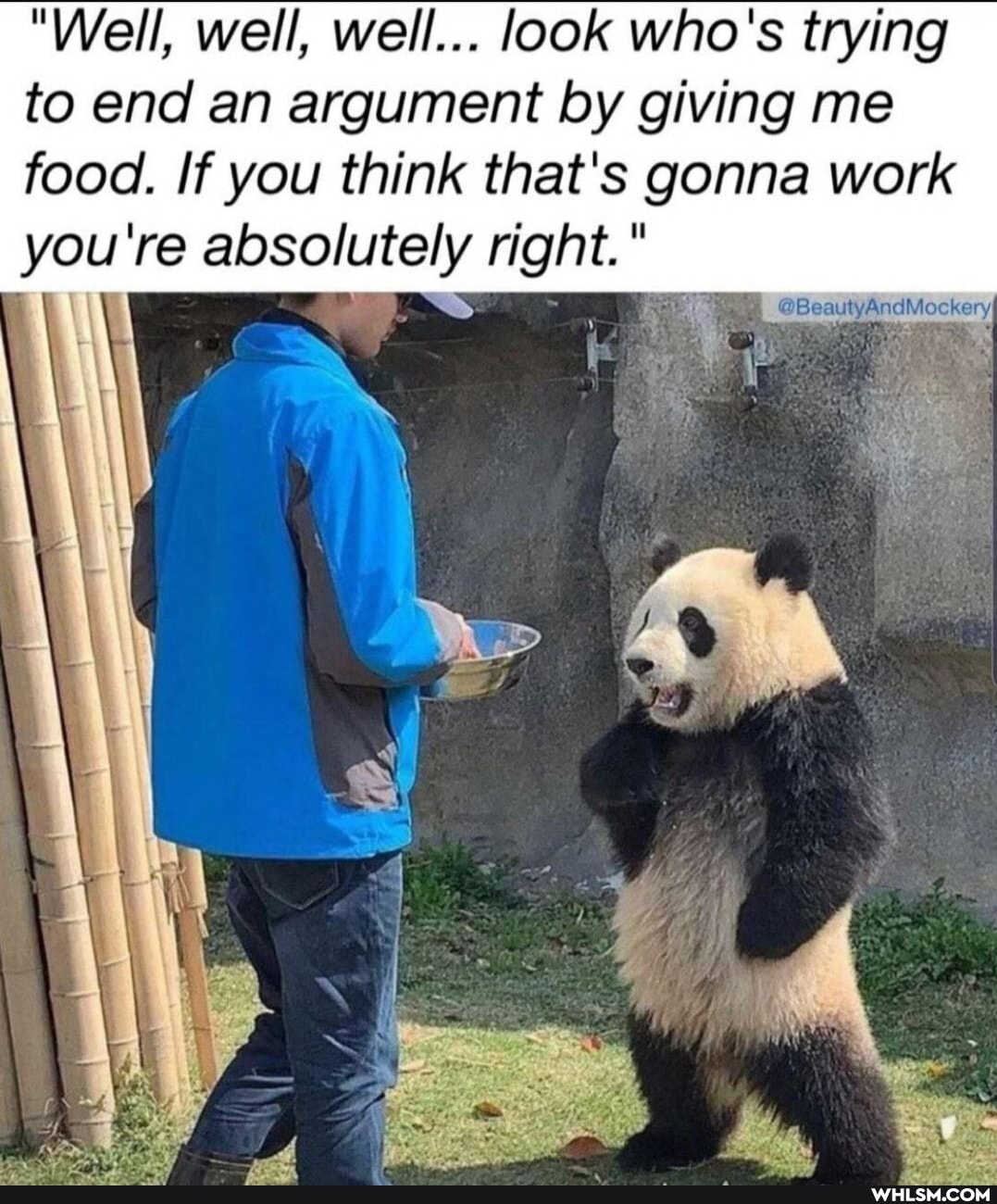 "Well, well, well... look who's trying to end an argument by giving me food. If you think that's gonna work you're absolutely right."