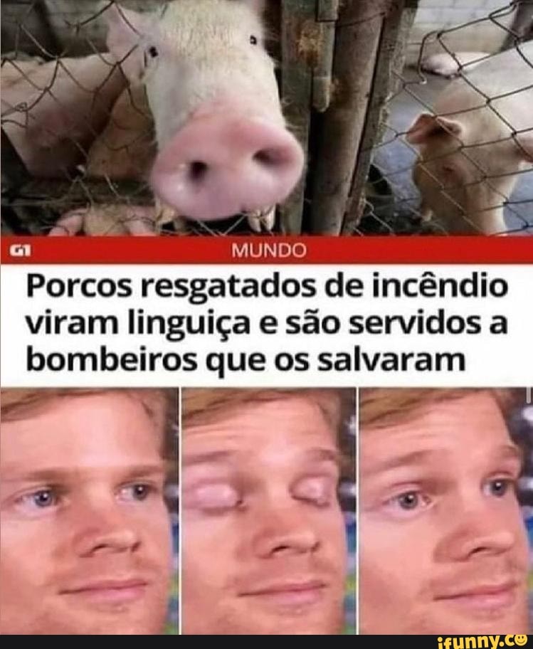 Se
MUNDO
Porcos resgatados de incêndio viram linguiça e são servidos a bombeiros que os salvaram