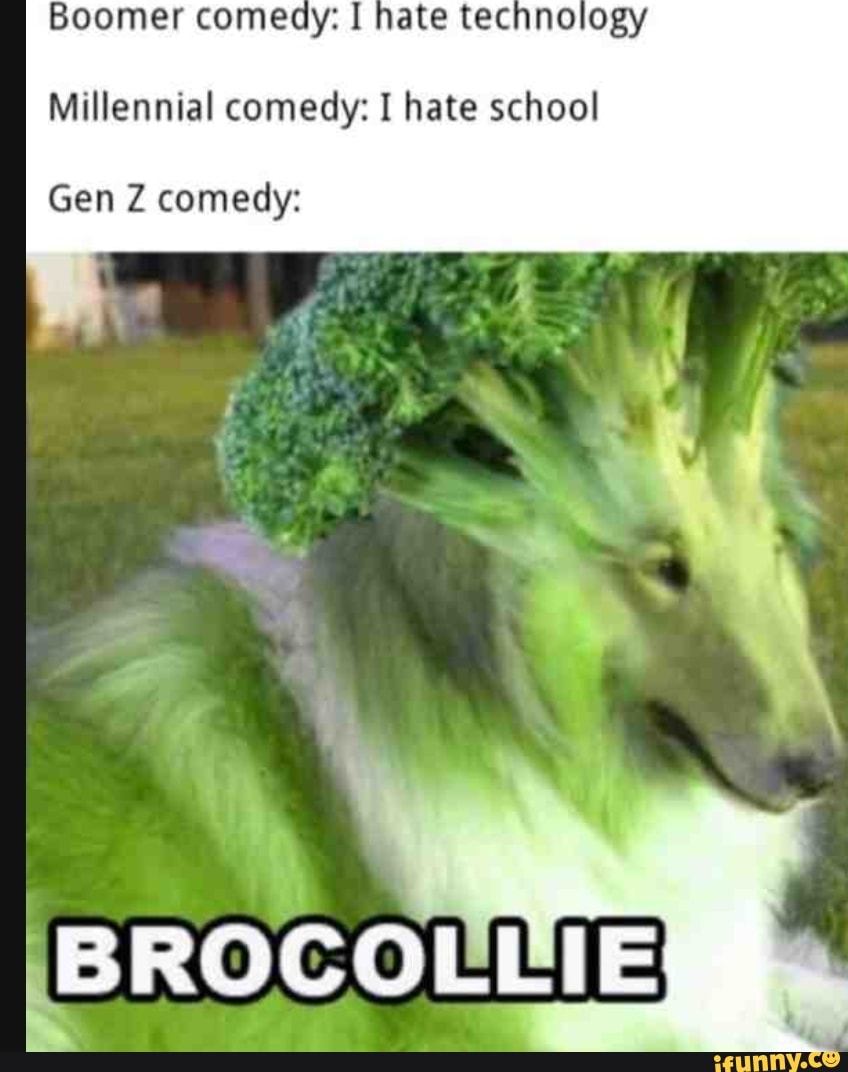 Boomer come
Millennial comedy: I hate school
Gen Z comedy: