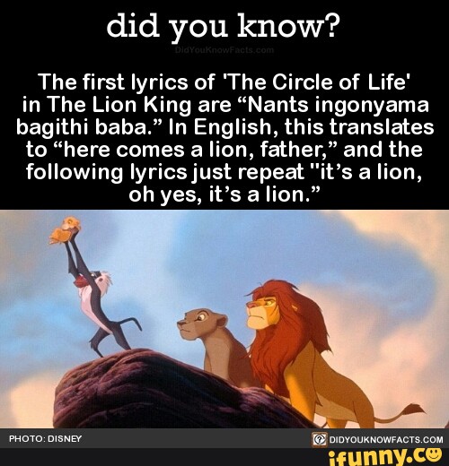 The First Lyrics Of The Circle Of Life In The Lion King Are