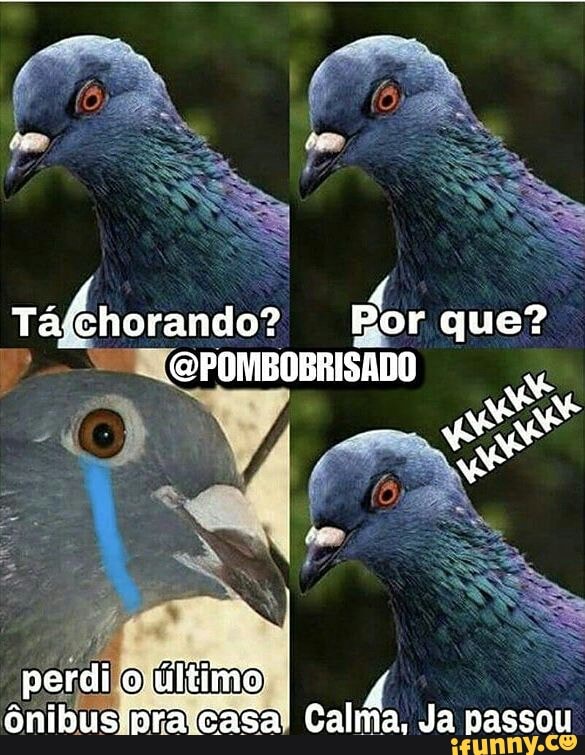 "ML POMBOBRISADO