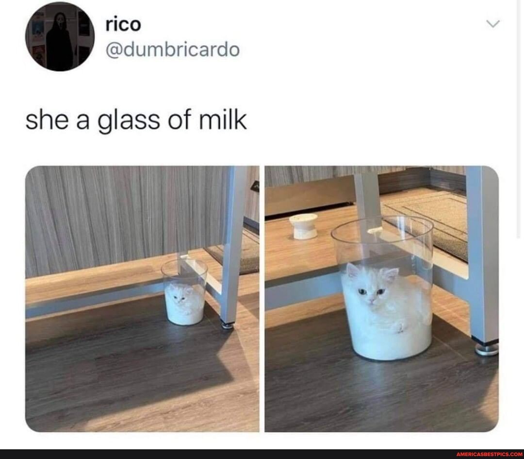 rico
@dumbricarco
she a glass of milk